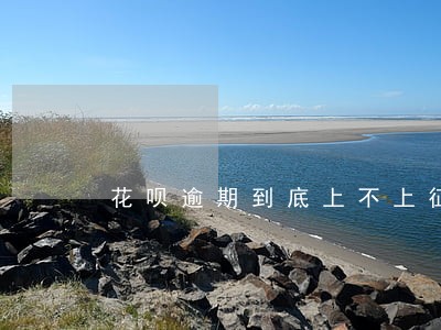 花呗逾期到底上不上征信报告 花呗逾期到底上不上征信报告