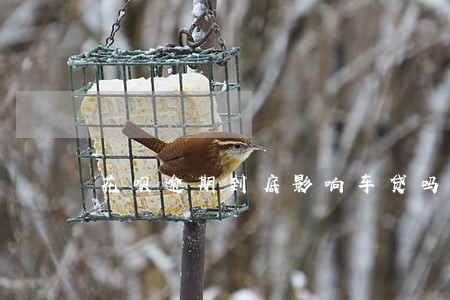 花呗逾期到底影响车贷吗 花呗逾期到底影响车贷吗