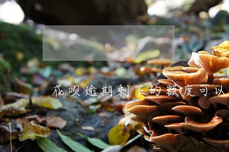 花呗逾期剩下的额度可以用吗 花呗逾期剩下的额度可以用吗