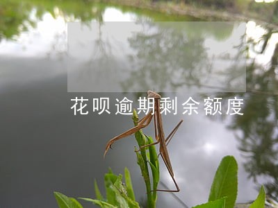 花呗逾期剩余额度 花呗逾期剩余额度