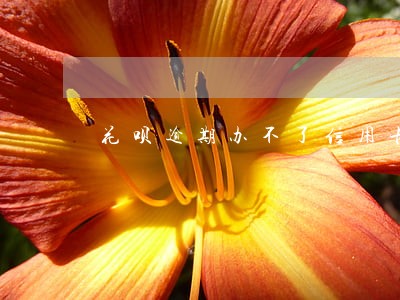 花呗逾期办不了信用卡 花呗逾期办不了信用卡