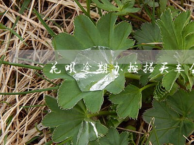 花呗逾期办按揭买车会通过吗 花呗逾期办按揭买车会通过吗