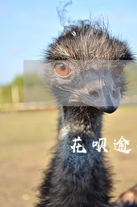 花呗逾期办理债务重组 花呗逾期办理债务重组