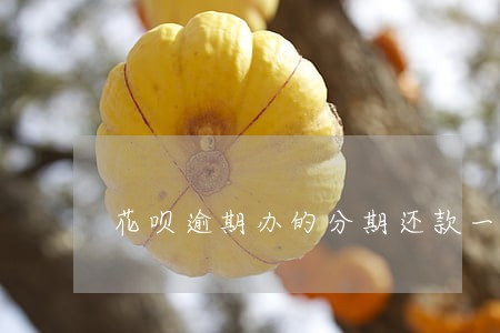 花呗逾期办的分期还款一次还清 花呗逾期办的分期还款一次还清
