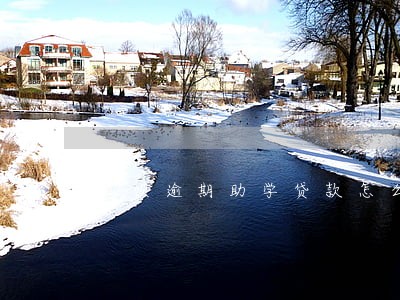 花呗逾期助学贷款怎么还款期限 花呗逾期助学贷款怎么还款期限