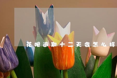 花呗逾期十二天会怎么样 花呗逾期十二天会怎么样