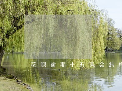 花呗逾期十五天会怎样 花呗逾期十五天会怎样