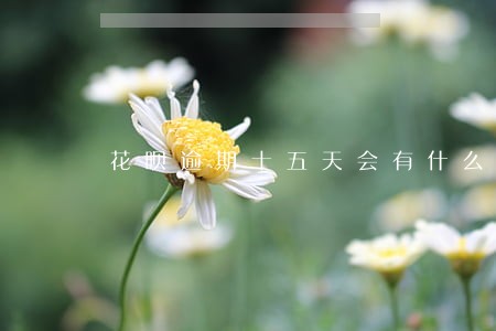 花呗逾期十五天会有什么后果