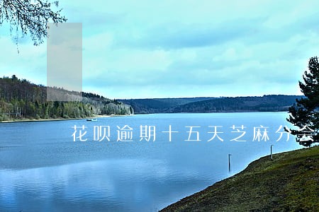 花呗逾期十五天芝麻分会扣多少分 花呗逾期十五天芝麻分会扣多少分