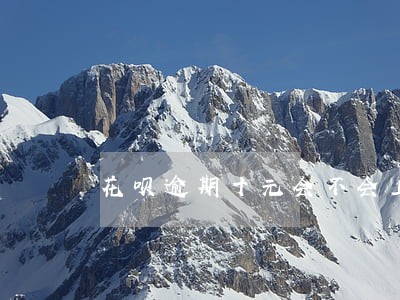 花呗逾期十元会不会上征信 花呗逾期十元会不会上征信