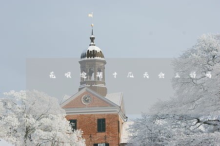 花呗逾期十几天会上诉吗 花呗逾期十几天会上诉吗
