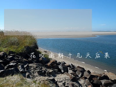 花呗逾期十几天后果 花呗逾期十几天后果