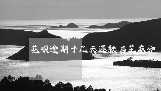 花呗逾期十几天还款后芝麻分 花呗逾期十几天还款后芝麻分