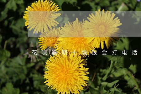 花呗逾期十块钱会打电话吗 花呗逾期十块钱会打电话吗