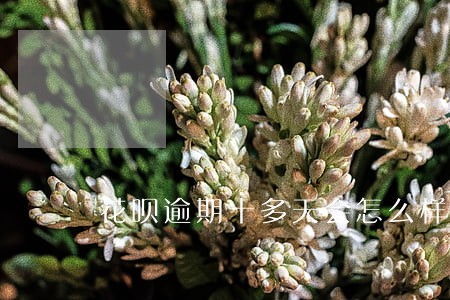 花呗逾期十多天会怎么样
