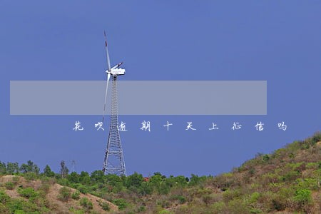 花呗逾期十天上征信吗