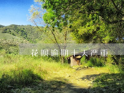 花呗逾期十天严重 花呗逾期十天严重