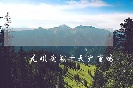 花呗逾期十天严重吗 花呗逾期十天严重吗