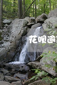 花呗逾期十天了