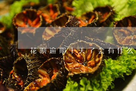 花呗逾期十天了会有什么后果