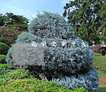 花呗逾期十天了怎么办