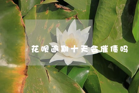 花呗逾期十天会催债吗 花呗逾期十天会催债吗