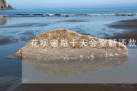 花呗逾期十天会全额还款吗