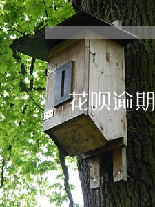 花呗逾期十天会影响信用吗 花呗逾期十天会影响信用吗