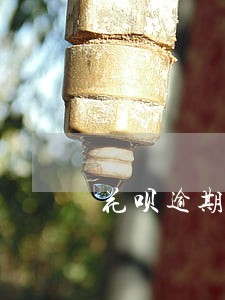 花呗逾期十天会打电话 花呗逾期十天会打电话