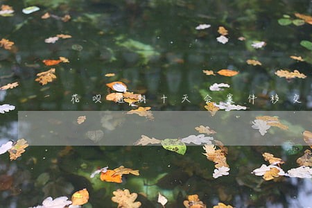 花呗逾期十天会案件移交吗 花呗逾期十天会案件移交吗
