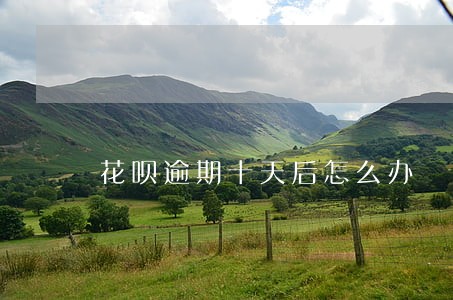 花呗逾期十天后怎么办 花呗逾期十天后怎么办