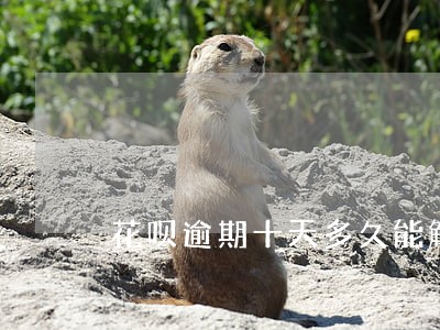 花呗逾期十天多久能解封 花呗逾期十天多久能解封