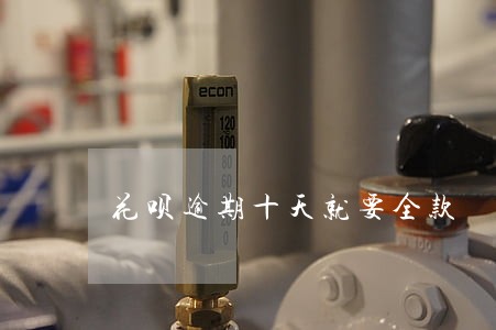 花呗逾期十天就要全款 花呗逾期十天就要全款