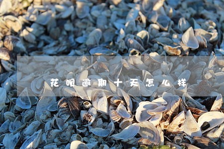 花呗逾期十天怎么样 花呗逾期十天怎么样