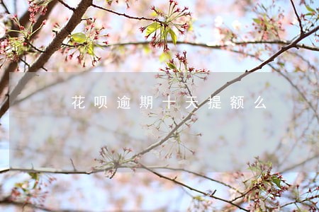 花呗逾期十天提额么 花呗逾期十天提额么