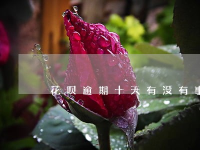花呗逾期十天有没有事 花呗逾期十天有没有事