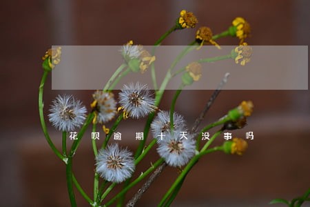 花呗逾期十天没事吗 花呗逾期十天没事吗