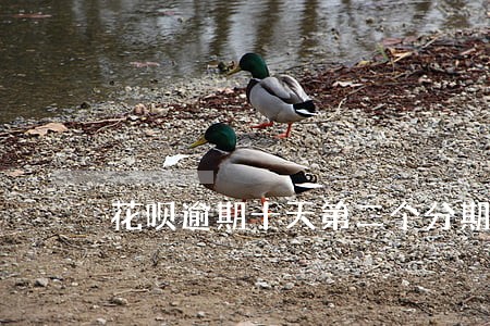 花呗逾期十天第二个分期能用吗 花呗逾期十天第二个分期能用吗