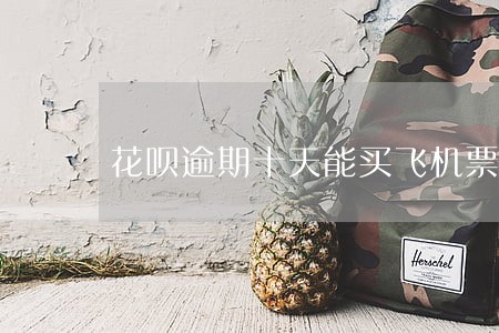 花呗逾期十天能买飞机票吗