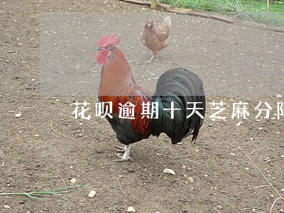 花呗逾期十天芝麻分降了100 花呗逾期十天芝麻分降了100