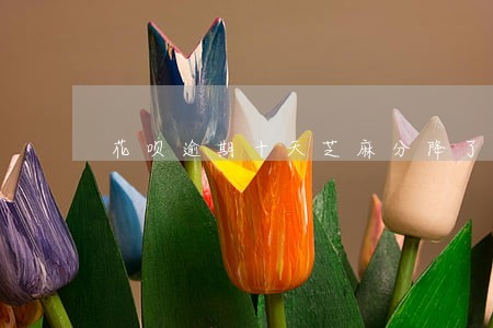 花呗逾期十天芝麻分降了59分 花呗逾期十天芝麻分降了59分
