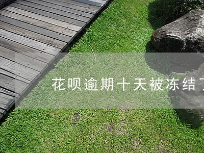 花呗逾期十天被冻结了 花呗逾期十天被冻结了