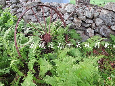 花呗逾期十天被打电话 花呗逾期十天被打电话