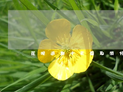 花呗逾期十天要取消分期资格 花呗逾期十天要取消分期资格