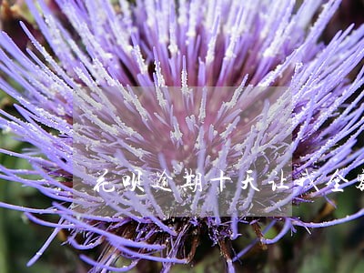 花呗逾期十天让我全额还 花呗逾期十天让我全额还