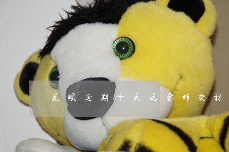 花呗逾期十天说要移交材料 花呗逾期十天说要移交材料