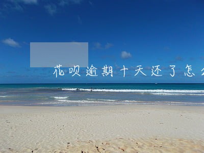 花呗逾期十天还了怎么办 花呗逾期十天还了怎么办
