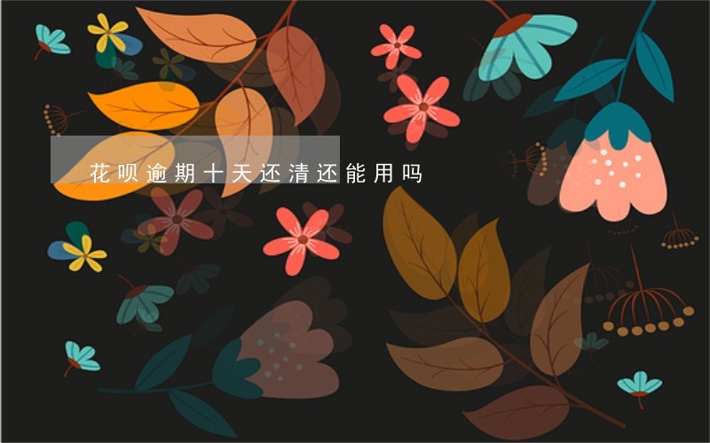花呗逾期十天还清还能用吗 花呗逾期十天还清还能用吗