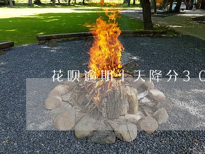 花呗逾期十天降分30 花呗逾期十天降分30