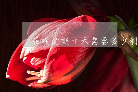 花呗逾期十天需要多少利息 花呗逾期十天需要多少利息